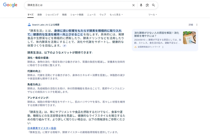 AI Overview　－　GoogleのAI概要で「検索0位」を獲得するためのSEO対策【初心者向け】